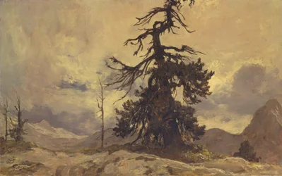 The Dying Monarch, Funtensee